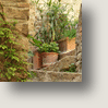 Casale2